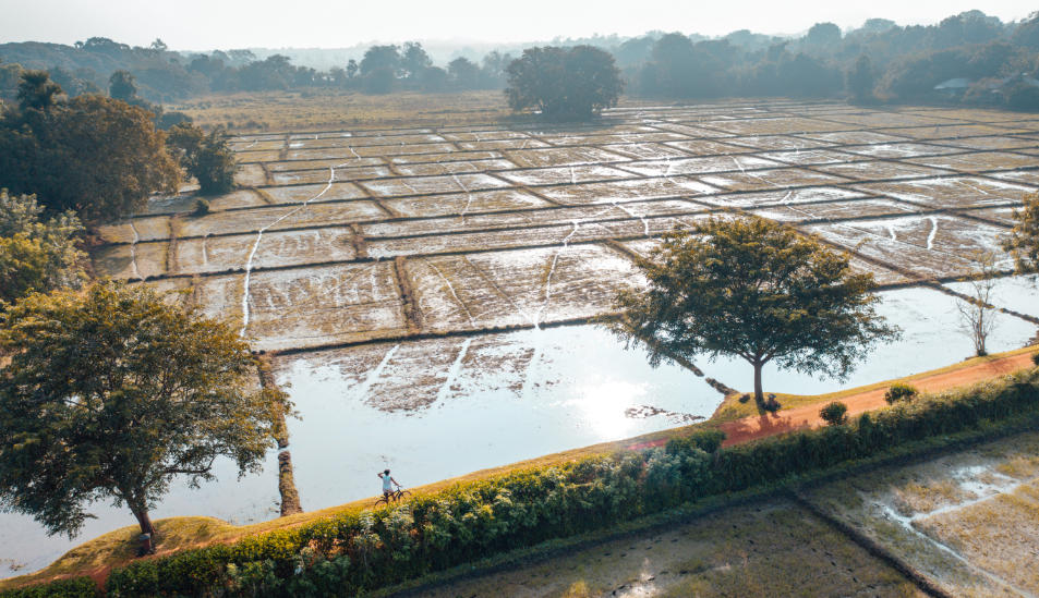 Sri Lanka Uga Ulagalla Bicycle Ride Rice Paddies Blog